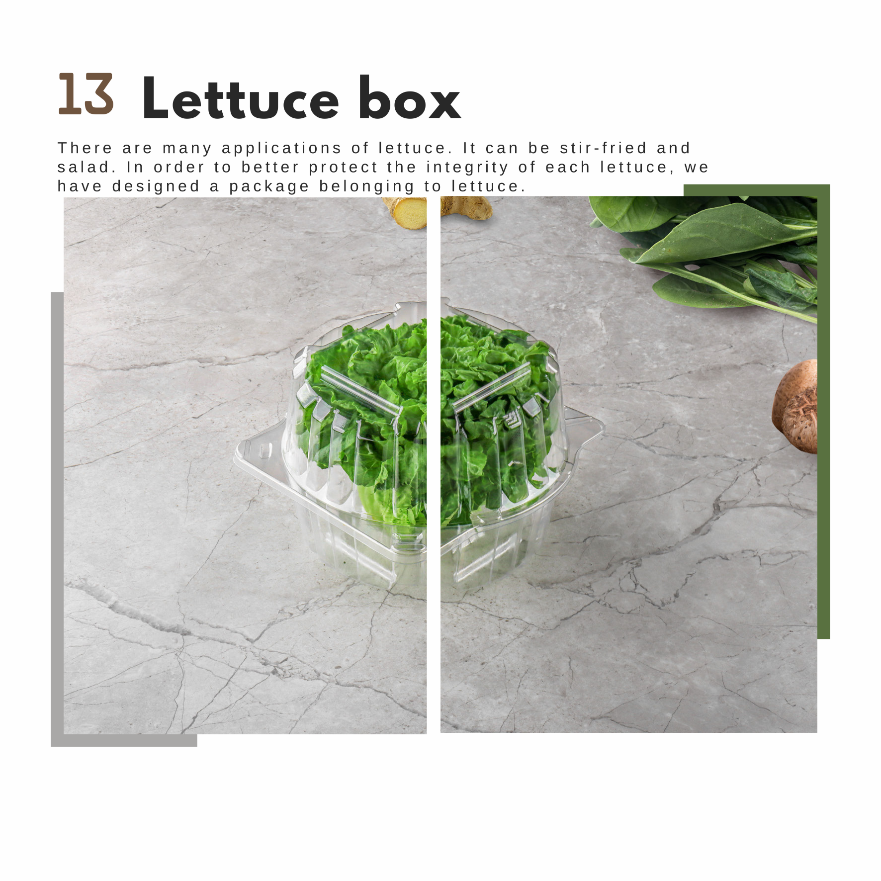 Lettuce Box
